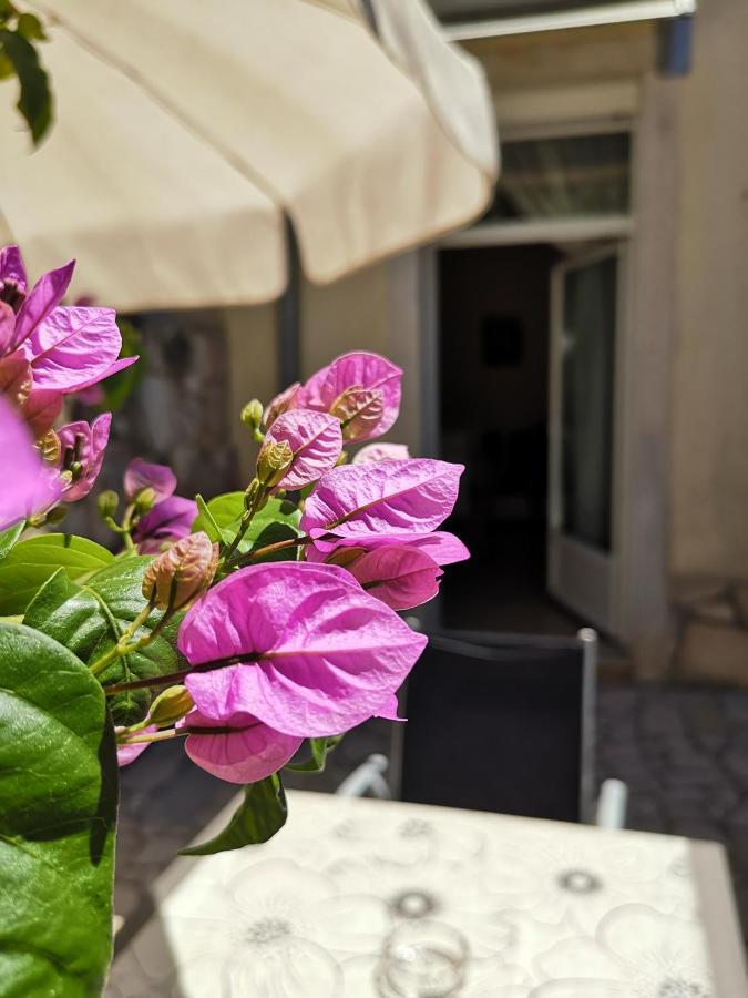 Apartments Centurio Pula Dış mekan fotoğraf